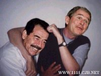 sadam21[2].jpg