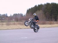 stående wheelie.jpg