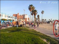 vbeach02_007r[1].jpg