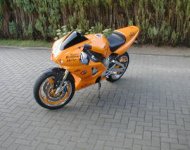 orange r1 (nr 2).jpg