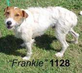 D12-1128%20Frankie.jpg