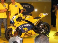 CamelYamaha11.jpg