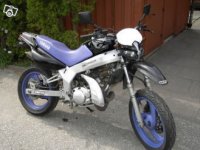 cool tdr 125.jpg