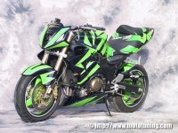 kawasaki-zx12r-tecno_bike-img01_s.jpg