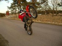 Wheelie-1small.JPG