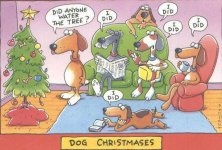 dog christmas.jpg