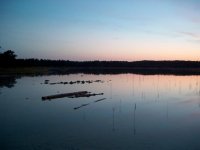 Fårö 2002 029.JPG