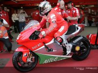 Ducati at Mugello.jpg