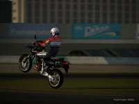 wheelie 650.jpg