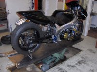 funny-busa 003.jpg