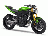 R6streetfightergreen.gif