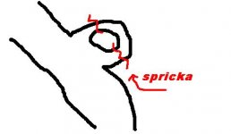 sprick.JPG