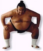 sumo-wrestler.jpg