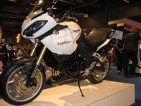 Vit Triumph Tiger.jpg