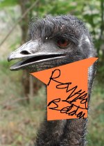 Emu exZOOberance 001.jpg