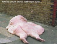 Why fat people should not bungee jump.jpg