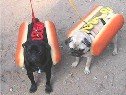 2hotdogs.jpg