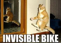 invisible-bike.jpg