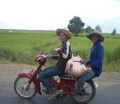 pig%20on%20a%20moped.jpg