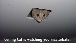 Ceiling_Cat.jpg