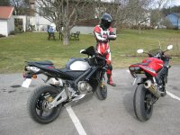 600RR-R6-sized.JPG