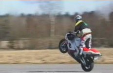 wheelie r1 1.jpg