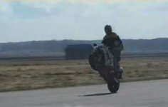 wheelie r1 2.jpg