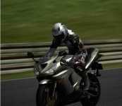 Kawasaki Ninja ZX-10R 28.JPG