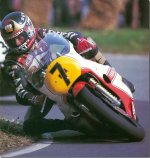 sheene_81_g.jpg