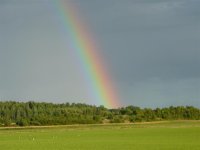 rainbow (Medium).JPG