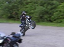 Wheelie!.jpg