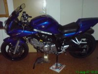 Suzuki SV 650 profil.JPG