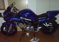 Suzuki SV 650 profil.JPG