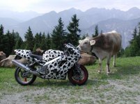 kaw-zx9r-99-bikepics-36348.jpeg