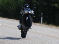 Wheelie3.jpg