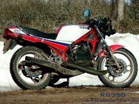 RD350 wintersport edition.jpg