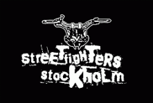 Fighter-Street-bild2_05.gif