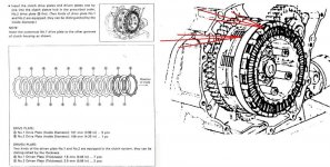 TLS (Large).JPG