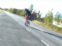 högstoppie.jpg