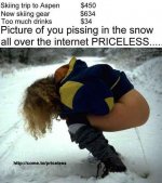 priceless-snow pee.jpg