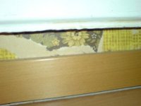 DSC00181.JPG