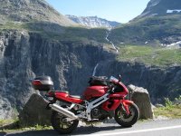 Falcon på trollstigen.jpg