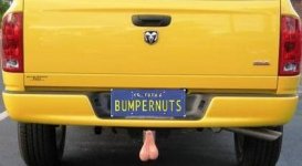 bumpernuts.jpg