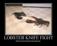 lobsterxk6.jpg