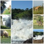 murchison-falls.jpg