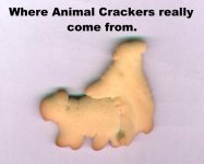 animalcrackers.jpg