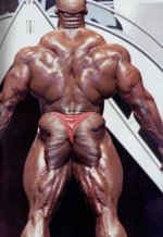 Ronnie_Coleman_photo340.jpg