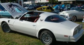 TransAm80a.jpg