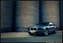 060916mustang04.jpg