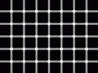 black_dots.gif